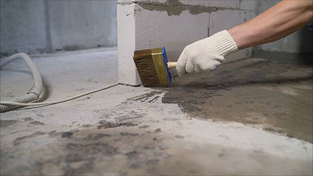 Top rated local Interior Drainage System specialists in Cross Roads, TX